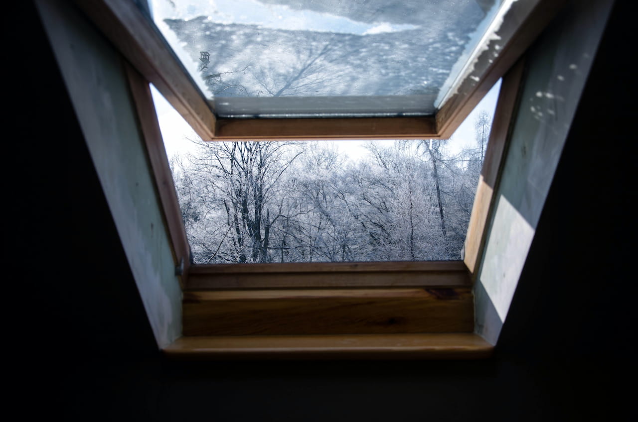 Skylight window